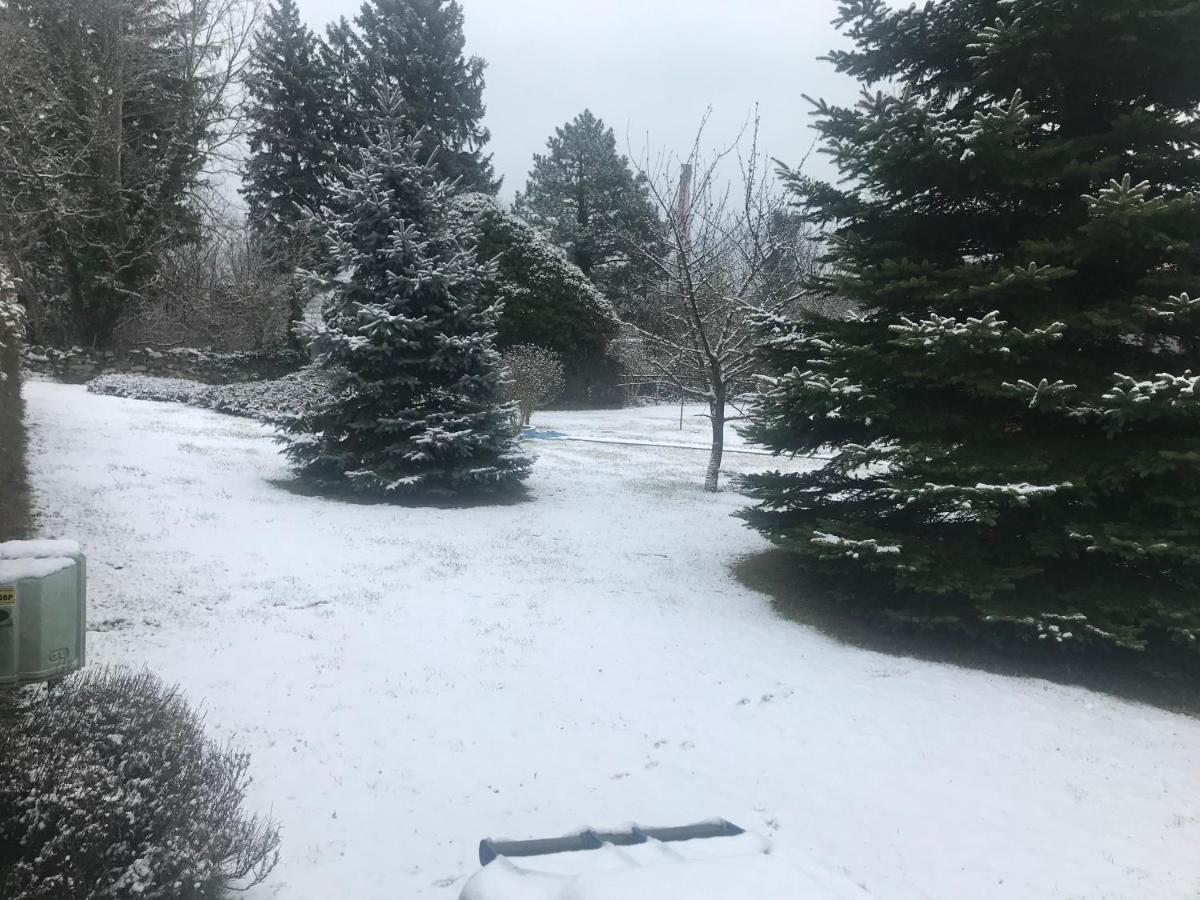 Balaton Garden Διαμέρισμα Balatongyörök Εξωτερικό φωτογραφία